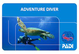 Gary's Dive Shop-San Carlos-Sonora-Mexico-Scuba Diving-Scuba-Dive-PADI Diver Certifications-Fishing-Nature Tours-Bay Cruises-Snorkeling-Whale watching-Dolphin watching-Bird watching-Geological explorations-Sport fishing-Bottom fishing-World's best fish tacos