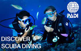 Gary's Dive Shop-San Carlos-Sonora-Mexico-Scuba Diving-Scuba-Dive-PADI Diver Certifications-Fishing-Nature Tours-Bay Cruises-Snorkeling-Whale watching-Dolphin watching-Bird watching-Geological explorations-Sport fishing-Bottom fishing-World's best fish tacos