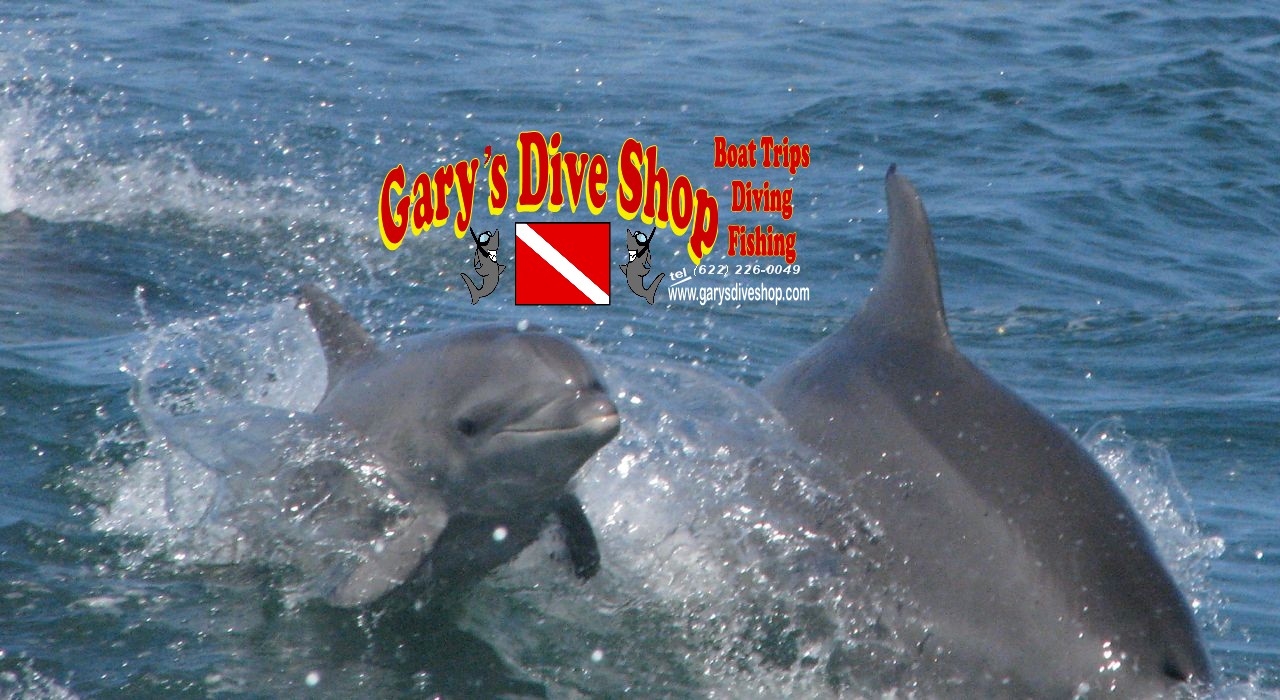 Gary's Dive Shop-San Carlos-Sonora-Mexico-Scuba Diving-Scuba-Dive-Fishing-Nature Tours-Bay Cruises-Snorkeling-Whale watching-Dolphin watching-Bird watching-Geological explorations-Sport fishing-Bottom fishing-World's best fish tacos