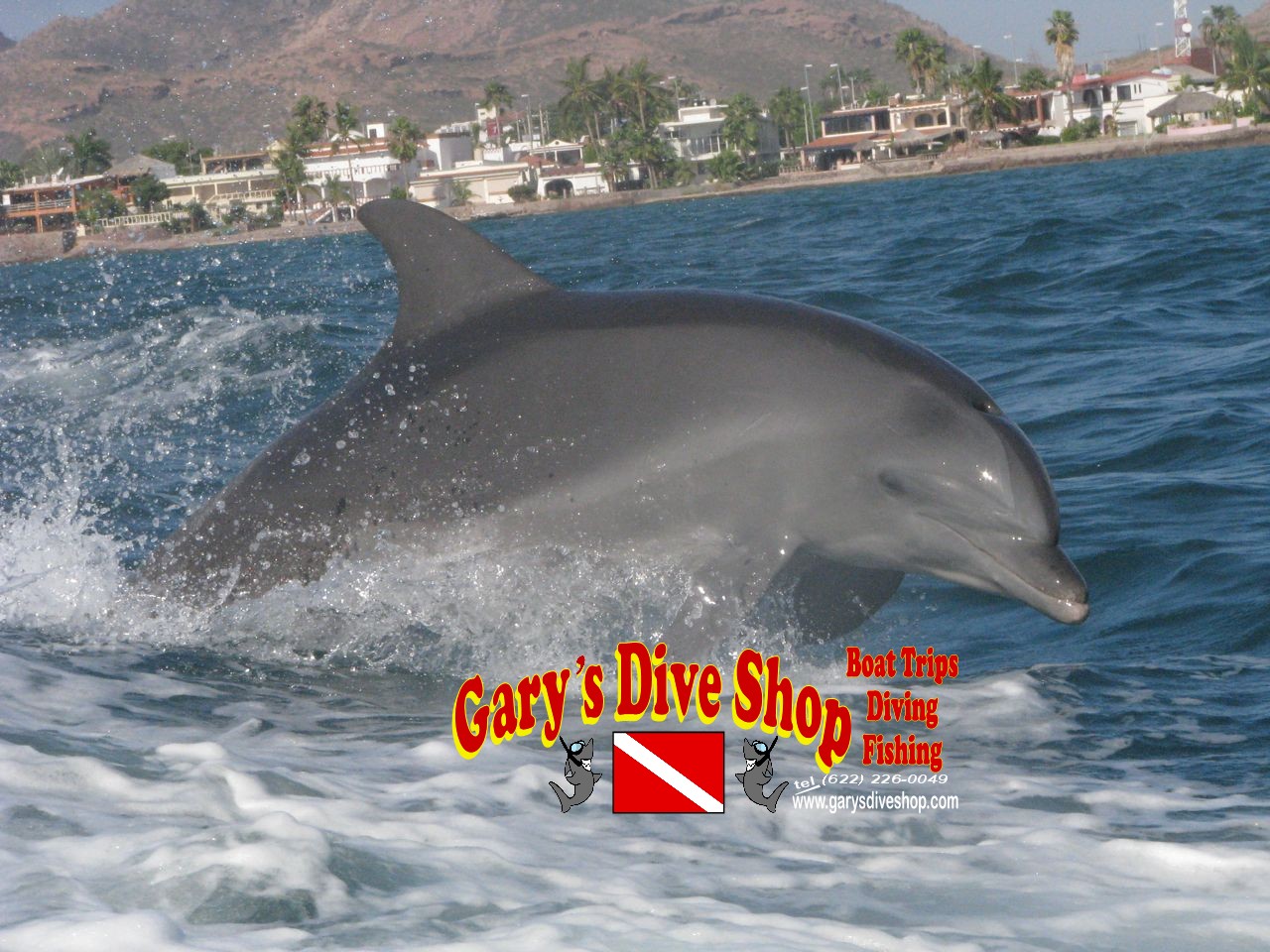 Gary's Dive Shop-San Carlos-Sonora-Mexico-Scuba Diving-Scuba-Dive-Fishing-Nature Tours-Bay Cruises-Snorkeling-Whale watching-Dolphin watching-Bird watching-Geological explorations-Sport fishing-Bottom fishing-World's best fish tacos